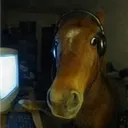 paxxal