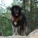 ixolos