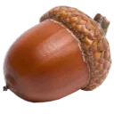 .captainacorn