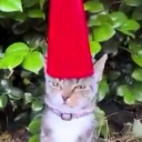 schmoeris#9987's avatar