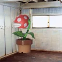 pahplant