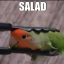 peyturtle