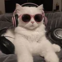 bambimia_