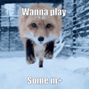 Discord Avatar