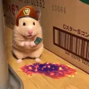chotaburst