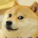 mcrndonnager