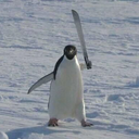 Matt_Nu