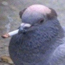 jaykee