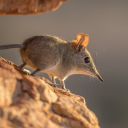 sown3564#2401's avatar