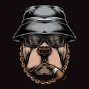 dylangear.
