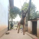 nutykk