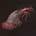 caatalyst