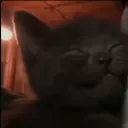 msstealyomilo