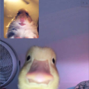 avatar Speedrunner.de