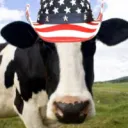 killmooo