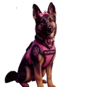 buttercup_snugglepup