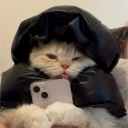 avatar YoungLucaKong