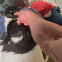 avatar Yoshi チャド