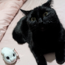 avatar KimikoKajinoyu