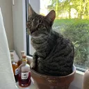 .aleyynaa