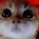 notjn