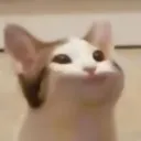 tommybazuka
