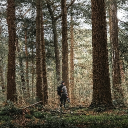 bvrtels#6160's avatar