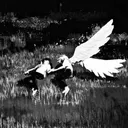 1owlif3