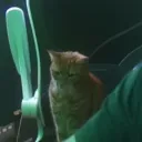dannydashy