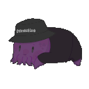 squidopug