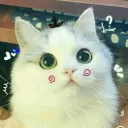 bunmamkua avatar