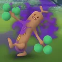 senortomatoes