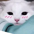 mkku