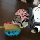sillygoosethatsnotfood