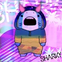 sharky06037