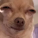 vegavegs