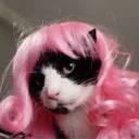 cathasdied