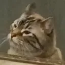 drlinx
