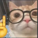 ifyoureadthisyouaregay avatar