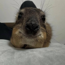 .walkermoon#3123's avatar