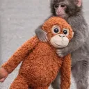 tiggaplease