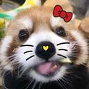 mizoinks