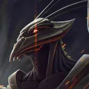 daraku2951
