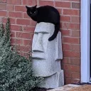 hrnn