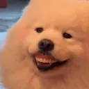 fuguang666