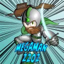 megaman2202
