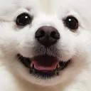 yanggu
