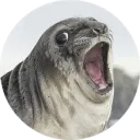 gauthierth