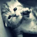 miesix109