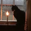 witch.trials